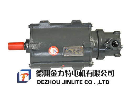 YBF3系列風(fēng)機(jī)專用隔爆型三相異步電動機(jī)